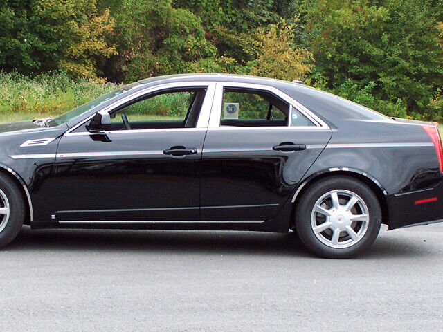 Stainless Steel Side Accent Trim 14 Pc For 2008-2013 Cadillac CTS